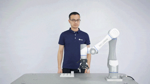 Impulsado por tecnología IA.